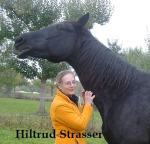Hiltrud Strasser, DVM